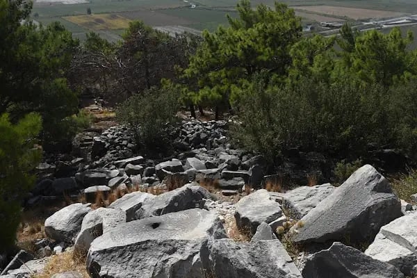 Priene Athena Tapınağı - Resim 12
