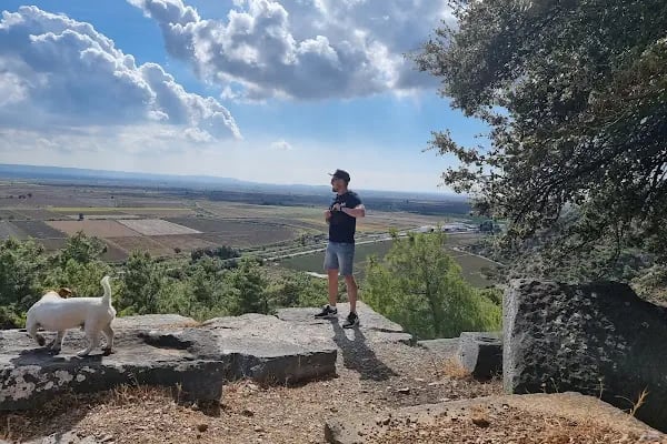 Priene Athena Tapınağı - Resim 13