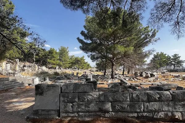 Priene Athena Tapınağı - Resim 8