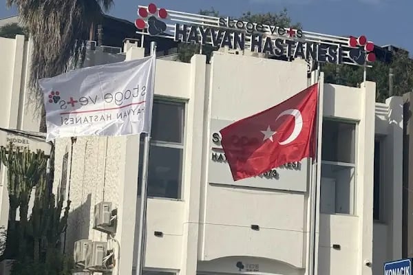 Stage Vets Hayvan Hastanesi - Resim 1