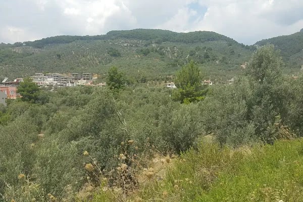 Helikopter İnme Pisti - Resim 13