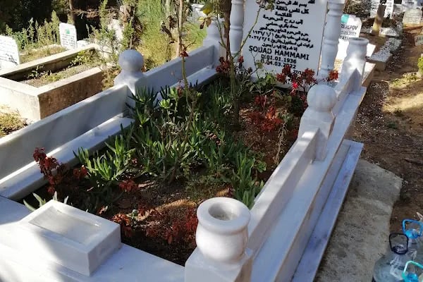 bahai gülistani cavid mezarlığı - Resim 12