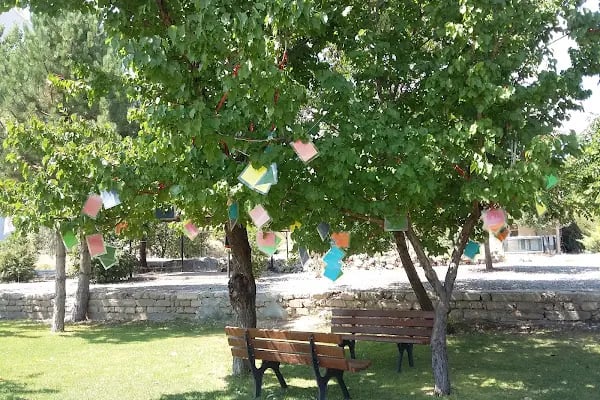 Selçuk Üniversitesi Akören Ali Rıza Ercan Meslek Yüksek Okulu - Resim 12