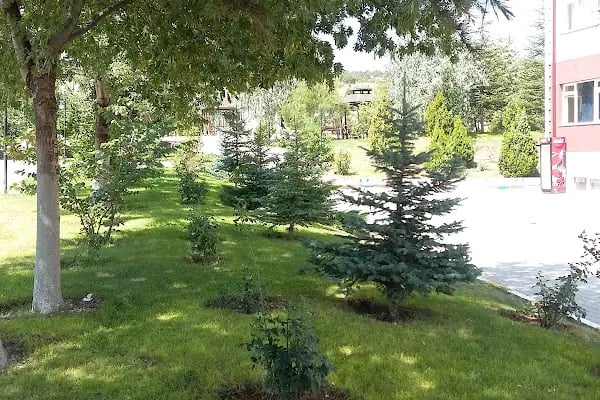 Selçuk Üniversitesi Akören Ali Rıza Ercan Meslek Yüksek Okulu - Resim 15