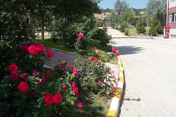 Selçuk Üniversitesi Akören Ali Rıza Ercan Meslek Yüksek Okulu - Resim 9