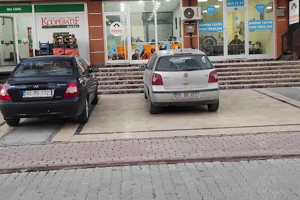 kOlympols Veteriner Kliniği - Resim 6