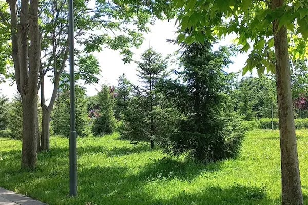 Dede Korkut Parkı - Resim 20