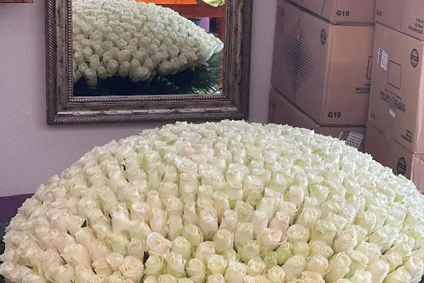 Dalaman Çiçekçilik ve organızasyon - Resim 5
