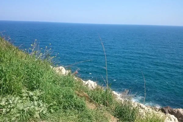 Liman Ustu - Resim 5
