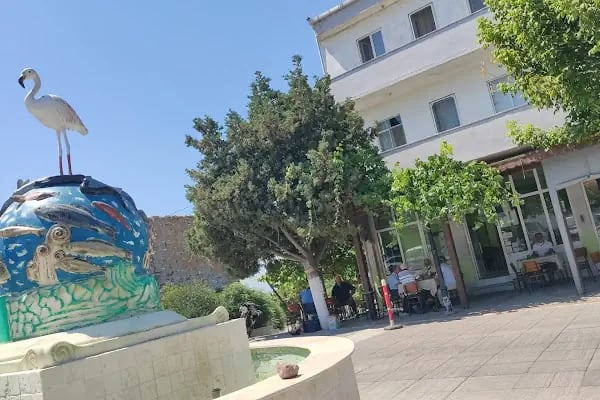 Şavkan Otel - Resim 6