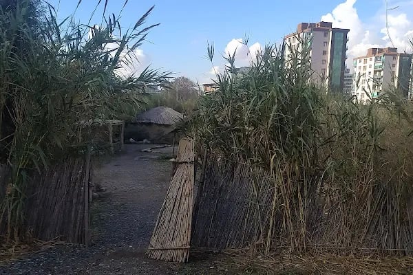 Yeşilova Höyüğü Ziyaretçi Merkezi - Resim 6