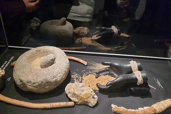 Yeşilova Höyüğü Ziyaretçi Merkezi - Resim 10