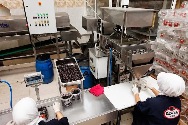 Nebioğlu Zeytincilik - Zeytin Ana(TOKENFLEX, PAYE KART, TICKET, SODEXO, METROPOL CARD, SETCARD, MULTİNET Online Alışveriş) - Resim 13