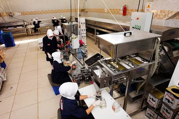Nebioğlu Zeytincilik - Zeytin Ana(TOKENFLEX, PAYE KART, TICKET, SODEXO, METROPOL CARD, SETCARD, MULTİNET Online Alışveriş) - Resim 7