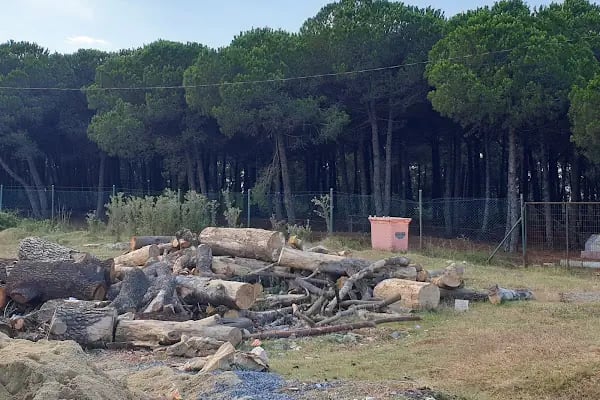 Mavi Çam Sitesi - Resim 3