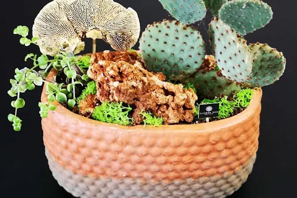 Flowerbox Çiçek Tasarım - Resim 16