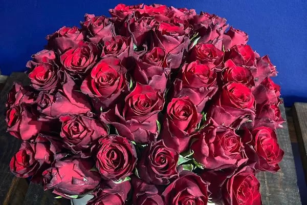 Flowerbox Çiçek Tasarım - Resim 12