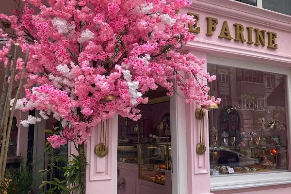Flowerbox Çiçek Tasarım - Resim 4