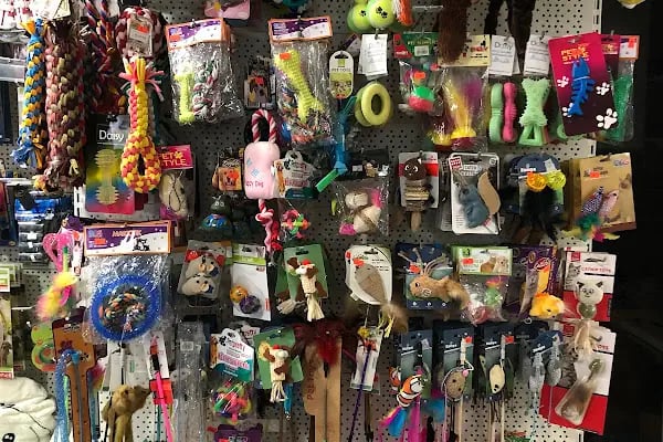 Blue Pet Shop (GÜLLÜK) - Resim 11