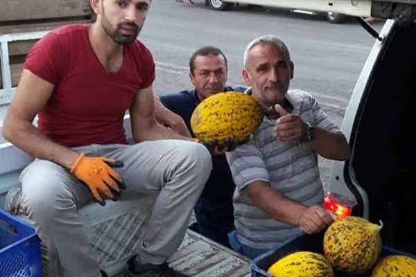 Akçaylılar Manav - Resim 11