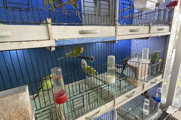 PetJax Petshop &amp; Pet Kuaför Alo Mama - Resim 19