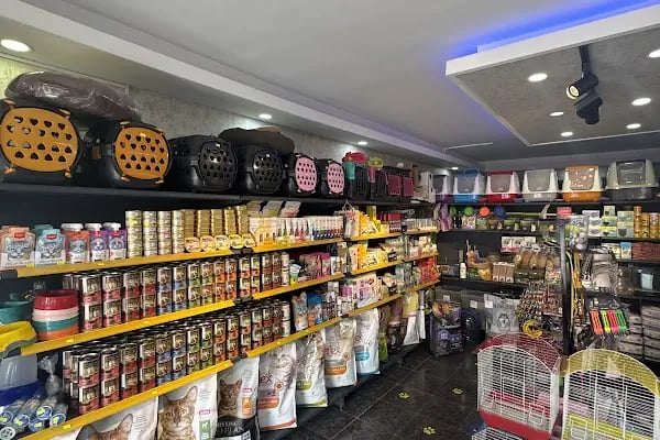 PetJax Petshop &amp; Pet Kuaför Alo Mama - Resim 13