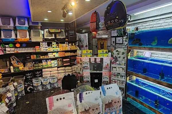 PetJax Petshop &amp; Pet Kuaför Alo Mama - Resim 17