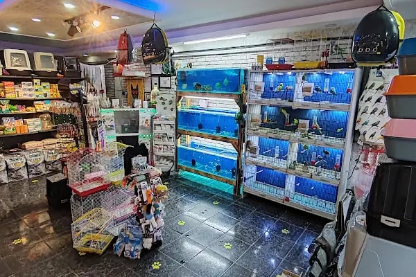 PetJax Petshop &amp; Pet Kuaför Alo Mama - Resim 15