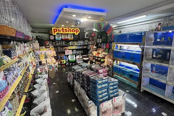 PetJax Petshop &amp; Pet Kuaför Alo Mama - Resim 2