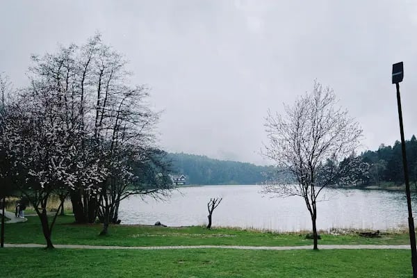 Gölcük Tabiat Parkı - Resim 10