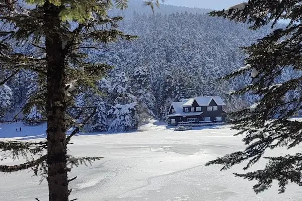 Gölcük Tabiat Parkı - Resim 17