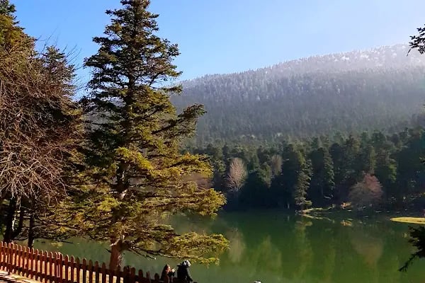 Gölcük Tabiat Parkı - Resim 13