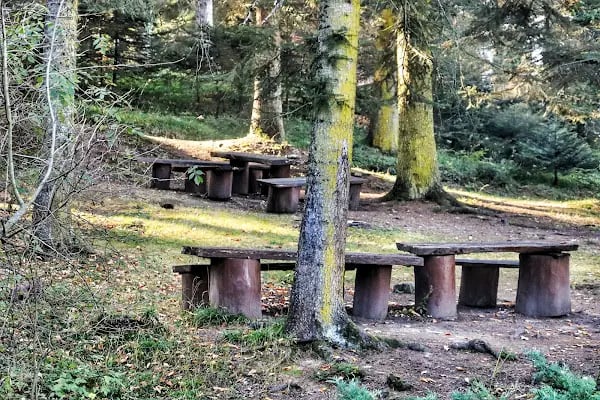 Gölcük Tabiat Parkı - Resim 16