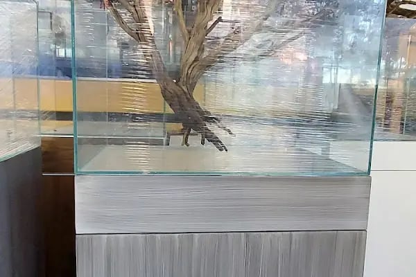 Penguen Akvaryum - Resim 5