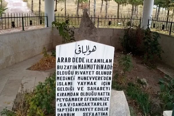 Arap Dede Türbesi - Resim 8