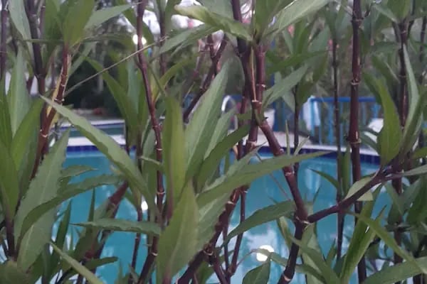 Astopia Hotel &amp; Cafe - Resim 18