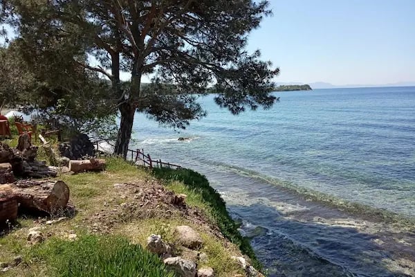 Çam Kamping - Resim 3