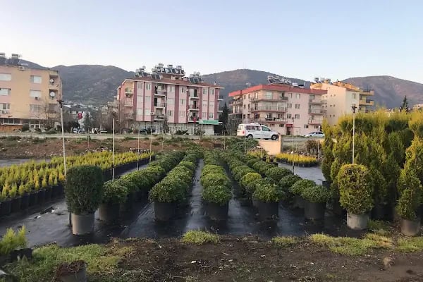 Marin Botanik Bayındır - Resim 15