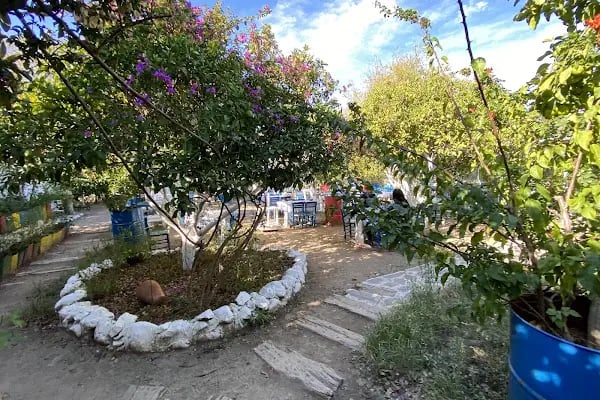 Asmalı Çardak Kahvaltı Evi - Resim 16