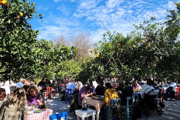 Asmalı Çardak Kahvaltı Evi - Resim 9
