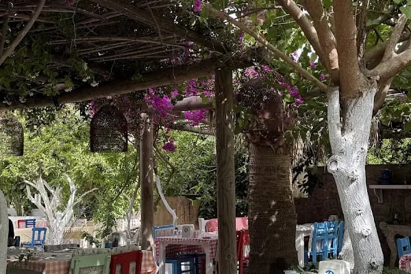 Asmalı Çardak Kahvaltı Evi - Resim 13