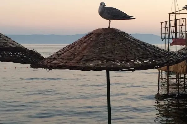 Ada Pansiyon - Resim 4