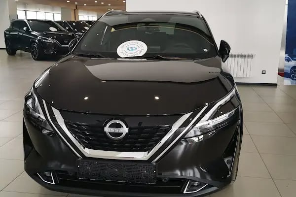 Nissan Görkem - Resim 10