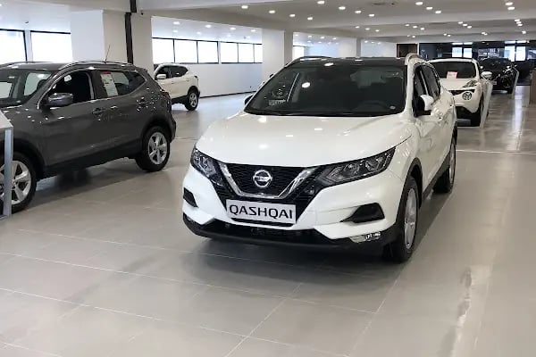 Nissan Görkem - Resim 19