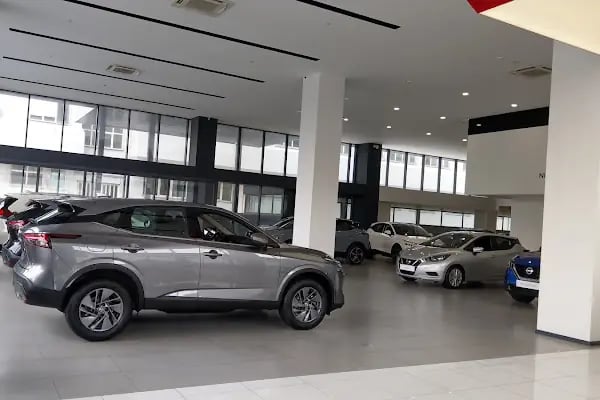 Nissan Görkem - Resim 3