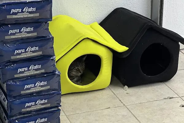Ulukent Petshop 35 - Resim 13