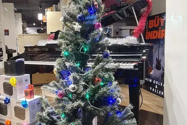 Pan Müzik Aletleri Mağazası - Ses ve Stüdyo Sistemleri Mağazası - Resim 11