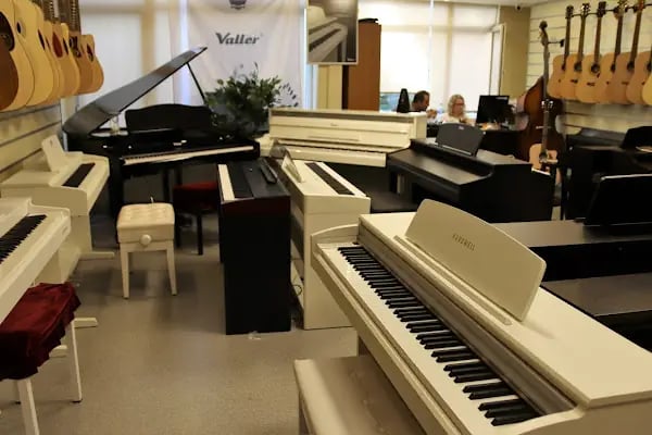 Pan Müzik Aletleri Mağazası - Ses ve Stüdyo Sistemleri Mağazası - Resim 20