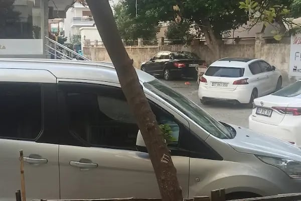 Telesis Alanya ALTEL Telefon Telekomünikasyon Sistemleri - Resim 3