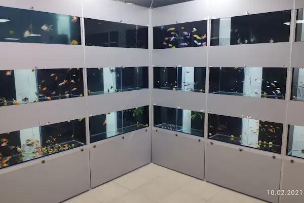 Mirvona Petshop Konya - Resim 15